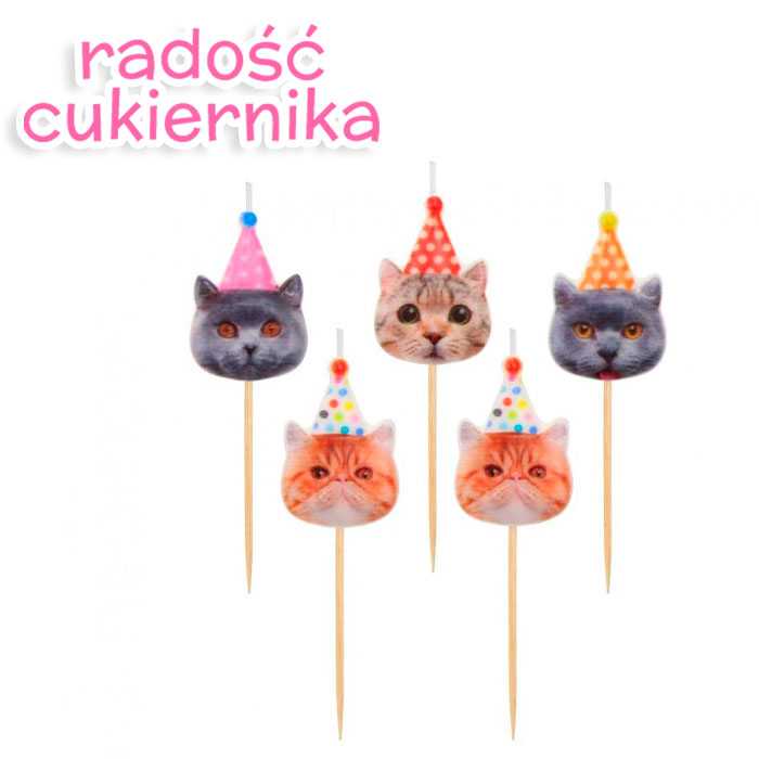 Świeczki pikery Kotki w czapeczkach, 5 szt 
